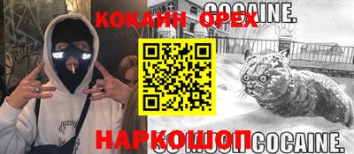 a pvp Дубна